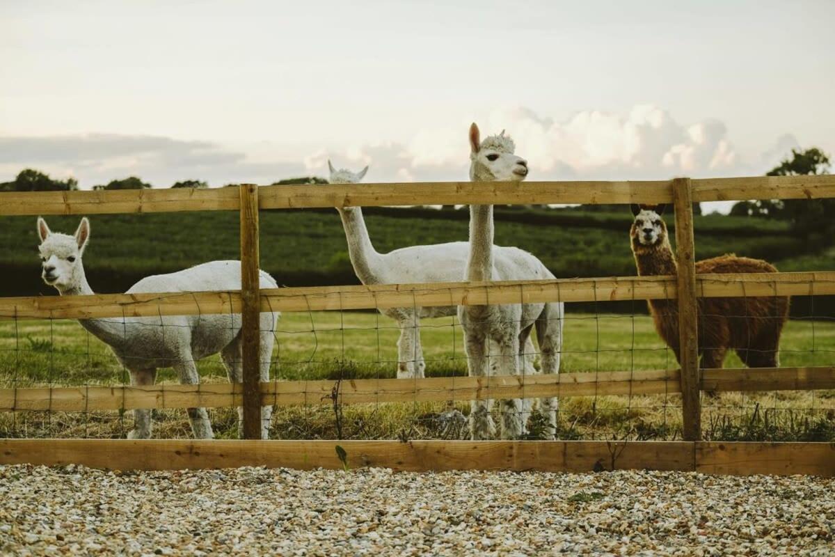 The Hay Barn - Hopewell Villa Бристол Екстериор снимка